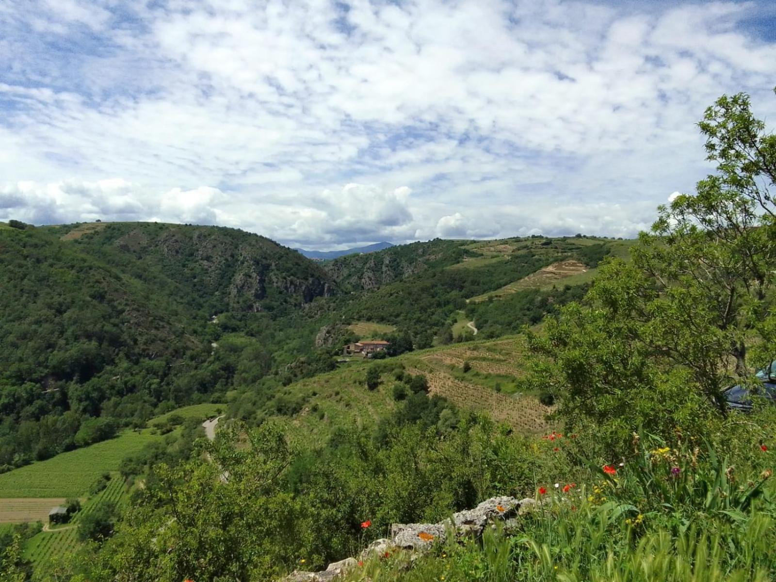 Gites De Revirand Sarras Bagian luar foto