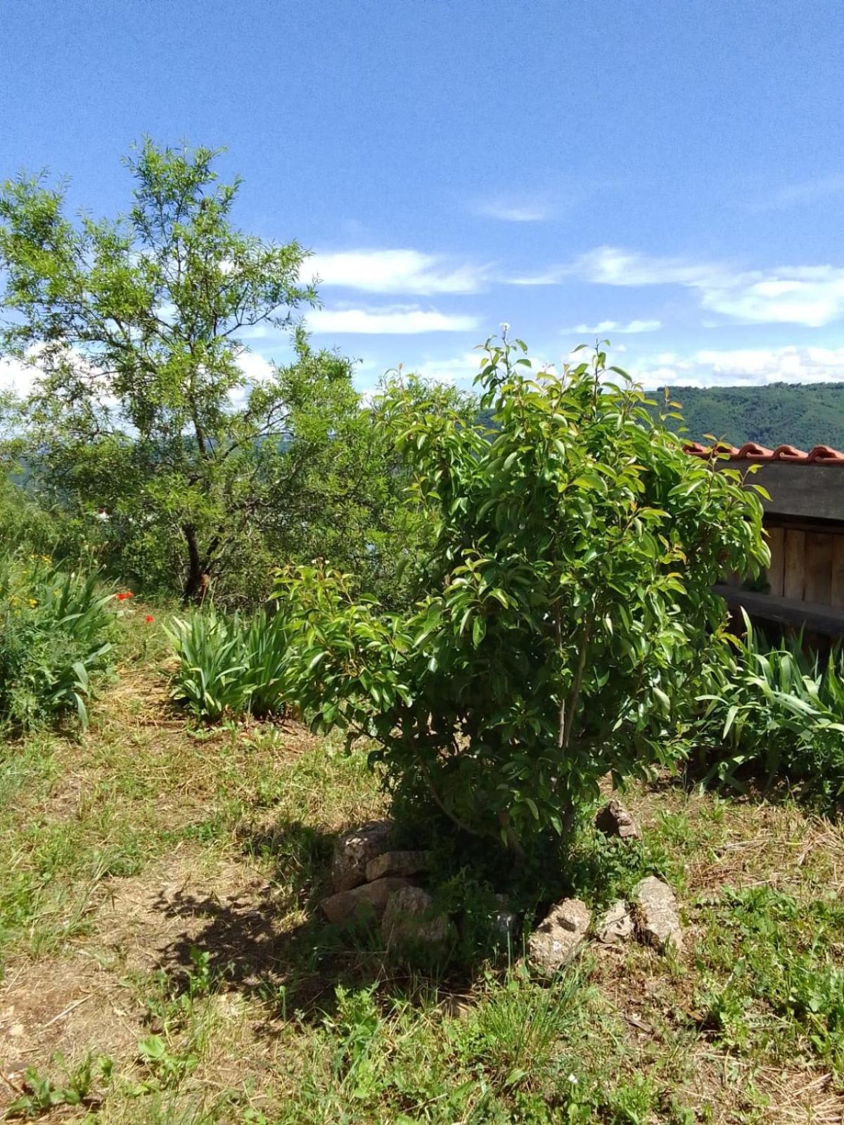 Gites De Revirand Sarras Bagian luar foto